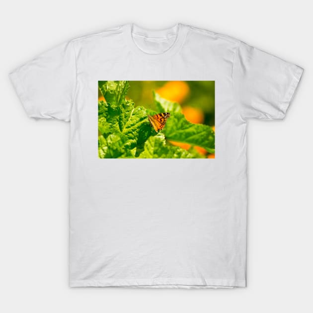 ibs butterfly monarch T-Shirt by pcfyi